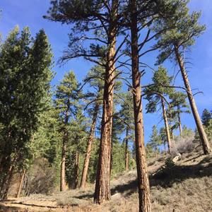 Meet your Posher, Rick